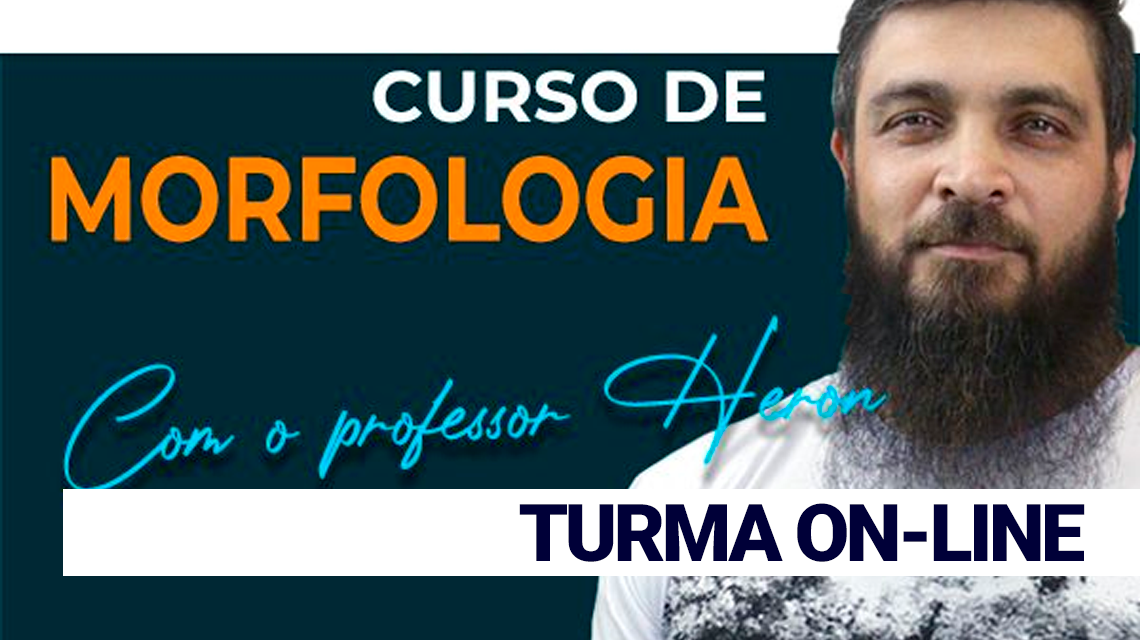 MORFOLOGIA